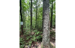 Tract 4 ROB WATSON Rd, Oneida, TN 37841