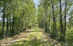 CHERNEY Lane, STURGEON BAY, WI 54235