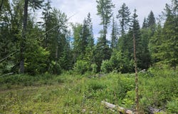 354 Swamp Donkey Trail, Sandpoint, ID 83864