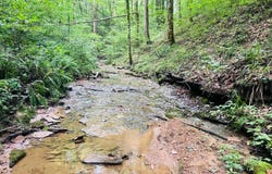 81 Shearer Cemetery Ln, Columbia, KY 42728
