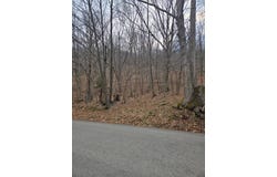 2185 Little Sand Run Road, Buckhannon, WV 26201