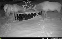 18946 County Road 57, Maybell, CO 81640