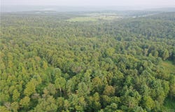 Dutch Hill Road, Cincinnatus, NY 13040