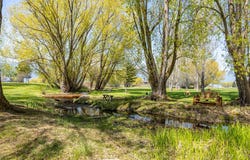 586 Cash Nichols Road, Stevensville, MT 59870