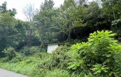 1080 Fairview Road, Duffield, VA 24244