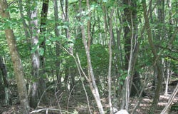 TBD HIGH VALLEY SOUTH, MONTEREY, VA 24465