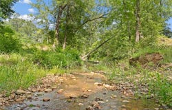 Tbd St Delight (Tracts 11 & 12) Road, Paige, TX 78659