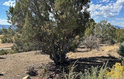 Road V4, Dolores, CO 81323