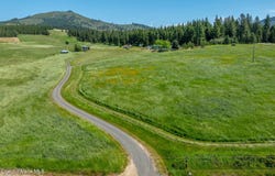 10207 Sanders Rd, Tensed, ID 83870
