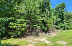 Lots 2/4 Sr 108, Gruetli Laager, TN 37339