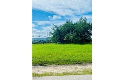 1011 Ceitus Terrace, Cape Coral, FL 33991