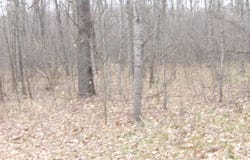 880 Judy Trail, Harrison, MI 48625