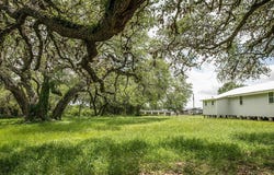 1503 N Texas 237, Round Top, TX 78954