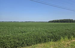 Henderson, KY 42420