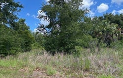 4279 E Texas Street, Hernando, FL 34442