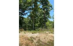 0 Pendleton Lost Creek Road 4+ Acres, Warrenton, MO 63383