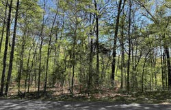 000 Lost Valley Rd, Greenbrier, AR 72058