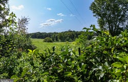 CLARENDON FARM DRIVE, MARSHALL, VA 20115