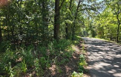 Lots 12&13 Farmroad 1190, Eagle Rock, MO 65641