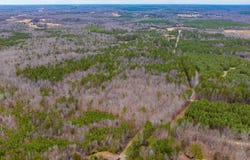 LOT 3 PINEY GREEN RD, CREWE, VA 23930