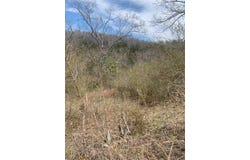 265 Lakeview Drive, Hollister, MO 65672
