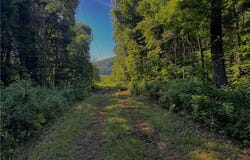 000 Madison 5390, Huntsville, AR 72740