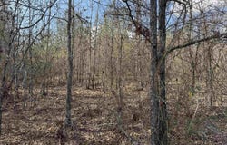 4 & 5 Estes Road, Piedmont, AL 36272