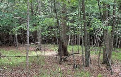 Old Lowgap Road, Lowgap, NC 27024