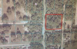 0 SW 132 AVE & SW 131 TERRACE, DUNNELLON, FL 34432