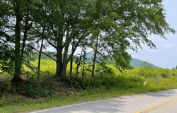 Lot 2 Joe Turner Road, Cleveland, GA 30528