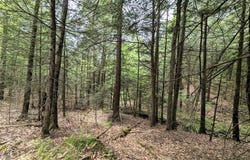 Stewart Road, Addison, NY 14801