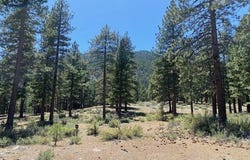 3355 Golf Club Drive unit: 97, Carson City, NV 89705