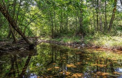 1704 POSEY HOLLOW, BERKELEY SPRINGS, WV 25411