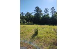 0 Moore, Register, GA 30452