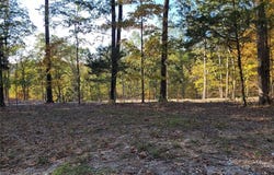 161 Steeple Point Drive, Defiance, MO 63341