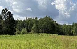 TBD Tree Top, Ironwood, MI 49938