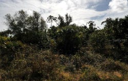 ROSEQUEEN CIRCLE, NORTH PORT, FL 34288