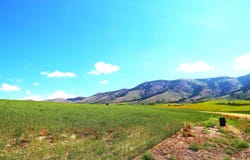 TBD Eagle View Dr, Inkom, ID 83245