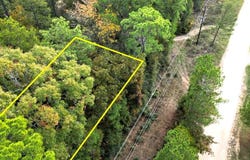 375 Rock Creek Drive, Trinity, TX 75862