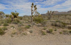 18144 Longhorn Drive, Dolan Springs, AZ 86441