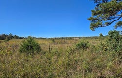 000 County Road 455, Birch Tree, MO 65438