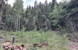36 Sheilds Avenue, Angel Fire, NM 87710