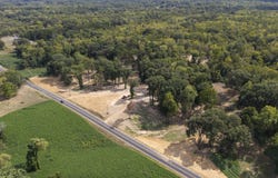 5 Nail Road, Walls, MS 38680