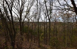 27871 Lakeview  DR, Other OK, OK 74451