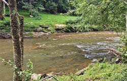 1101 Chestnut Falls Ln, Galax, VA 24333