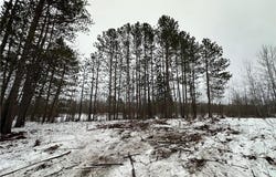 Tbd #1 Koecher Road, Kerrick, MN 55756