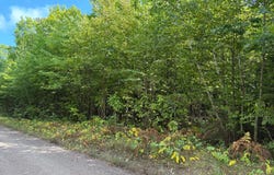 ON FREBURGS RD, Saxon, WI 54559