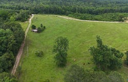 1149 County Road 865, Collinsville, AL 35961
