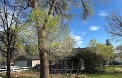 1129 2nd Ave, Longmont, CO 80501