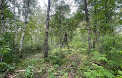 Lot 1 Patriot Ave, Pequot Lakes, MN 56472